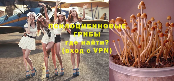 героин Няндома