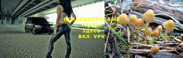apvp Осинники