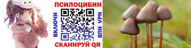 Галлюциногенные грибы прущие грибы  наркотики  Кимовск 