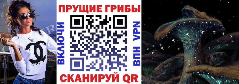 Галлюциногенные грибы Psilocybine cubensis Кимовск